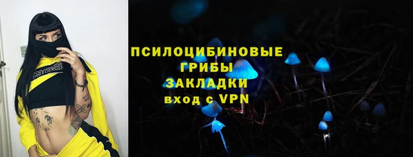 крисы Бугульма