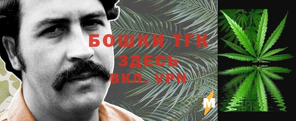крисы Бугульма